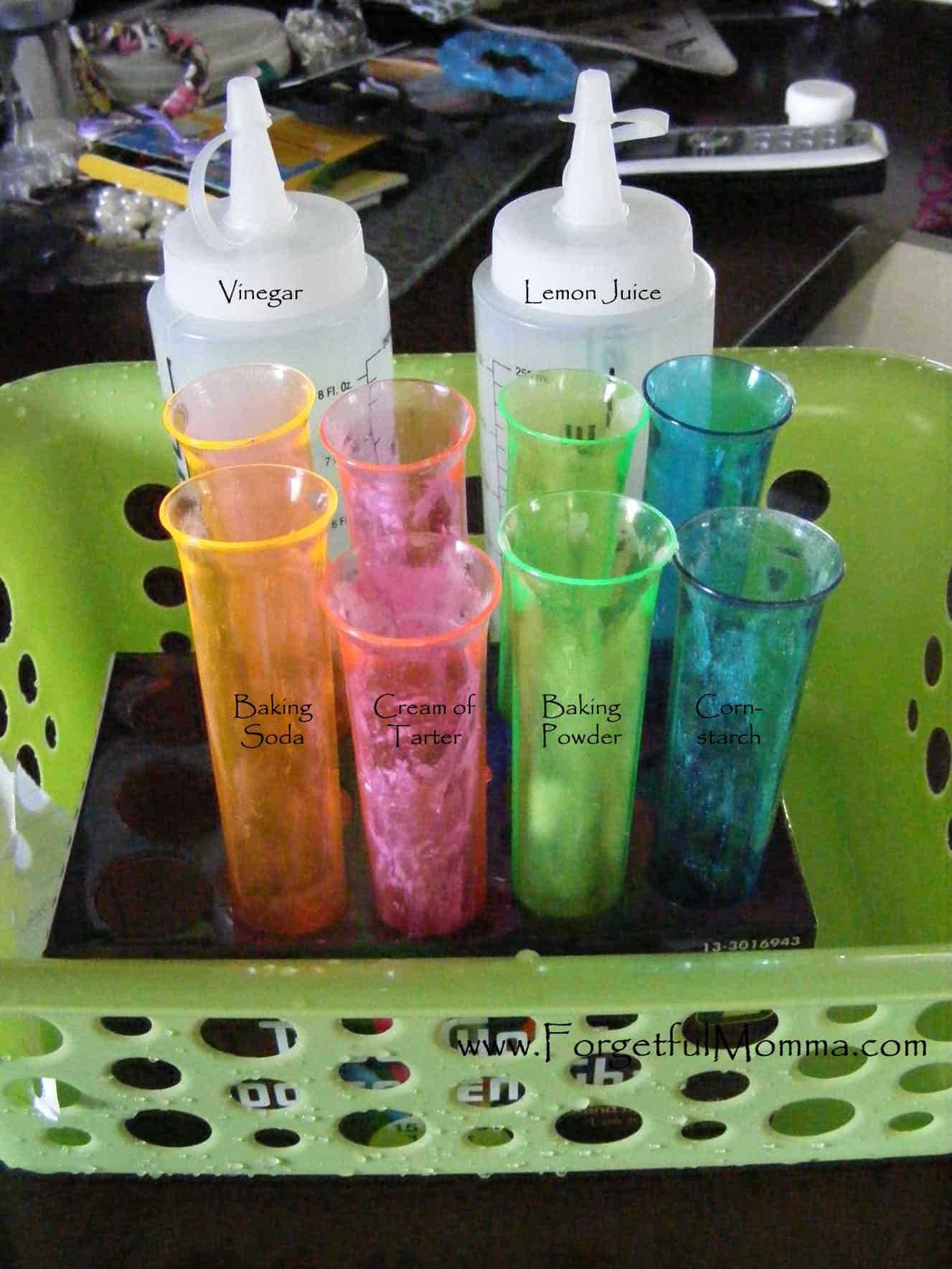 Science Experiment with Lemon Juice & Vinegar Momma