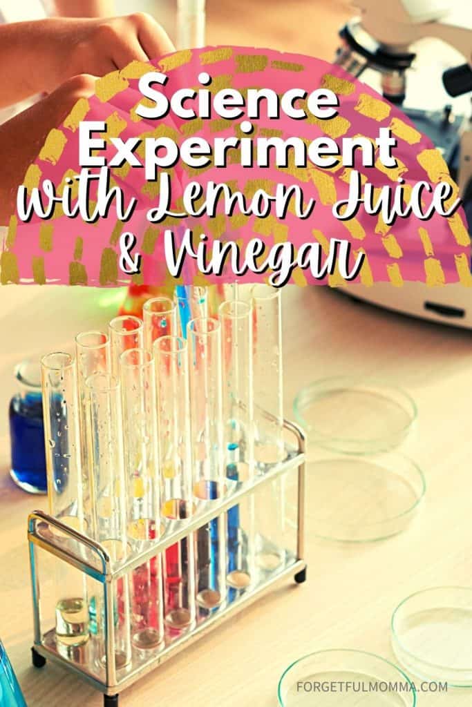 Science Experiment with Lemon Juice & Vinegar