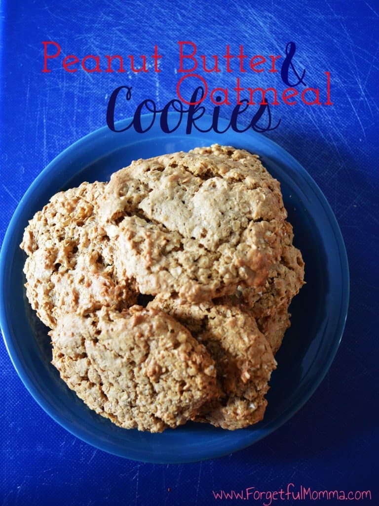 Peanut Butter & Oatmeal Cookies