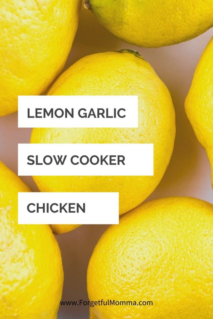 Slow Cooker Lemon Garlic Chicken and Veggies