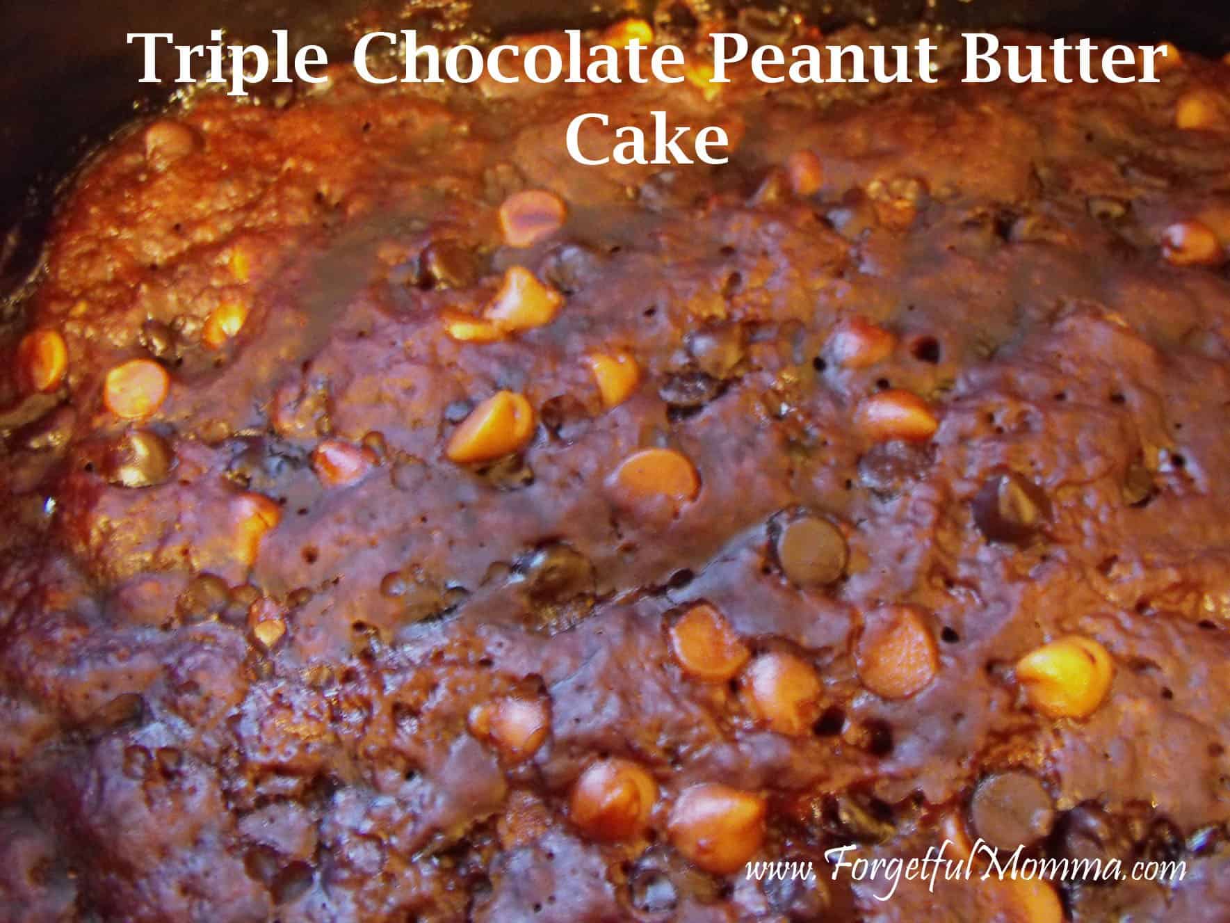 Slow Cooker Triple Chocolate Peanut Butter Cake Recipe