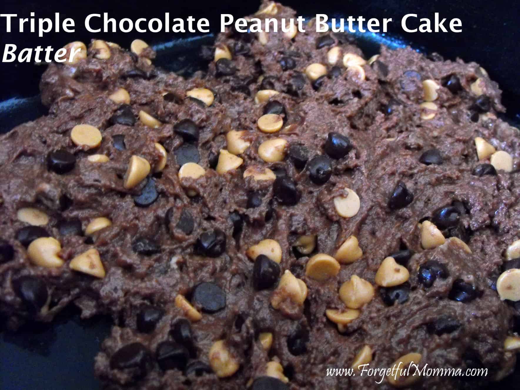 Slow Cooker Triple Chocolate Peanut Butter Cake Recipe