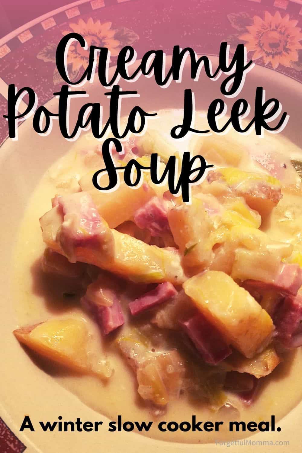 Creamy Potato Leek soup Title image