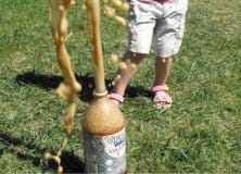 Pop & Mento Eruption