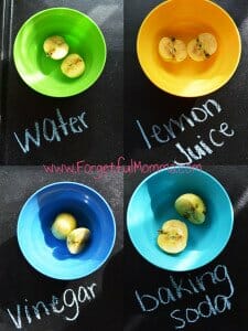 Apple Browning Experiment