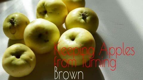 Apple Browning Experiment