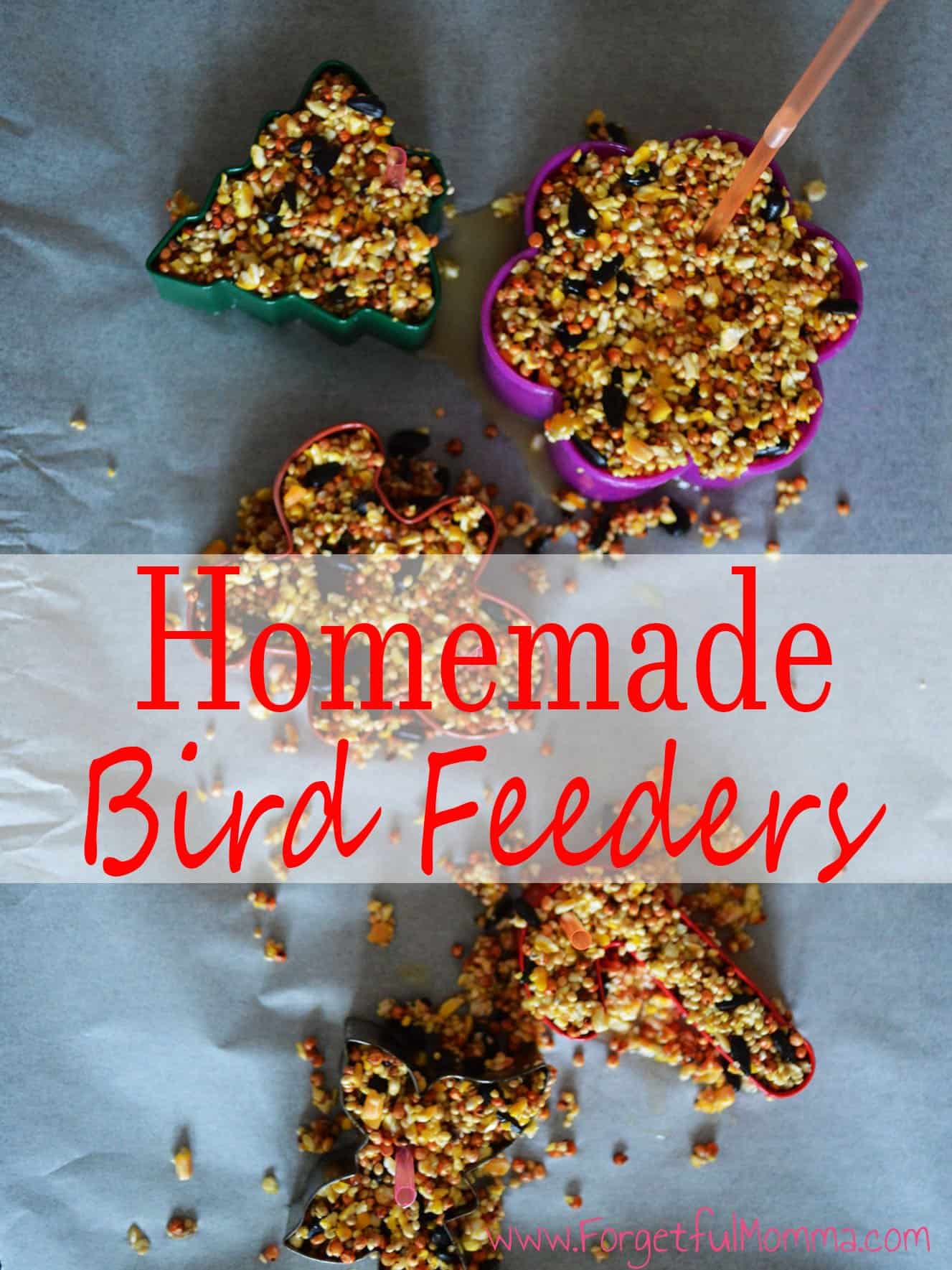 DIY Bird Feeder