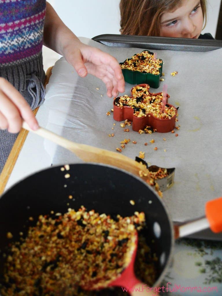 DIY Bird Feeders