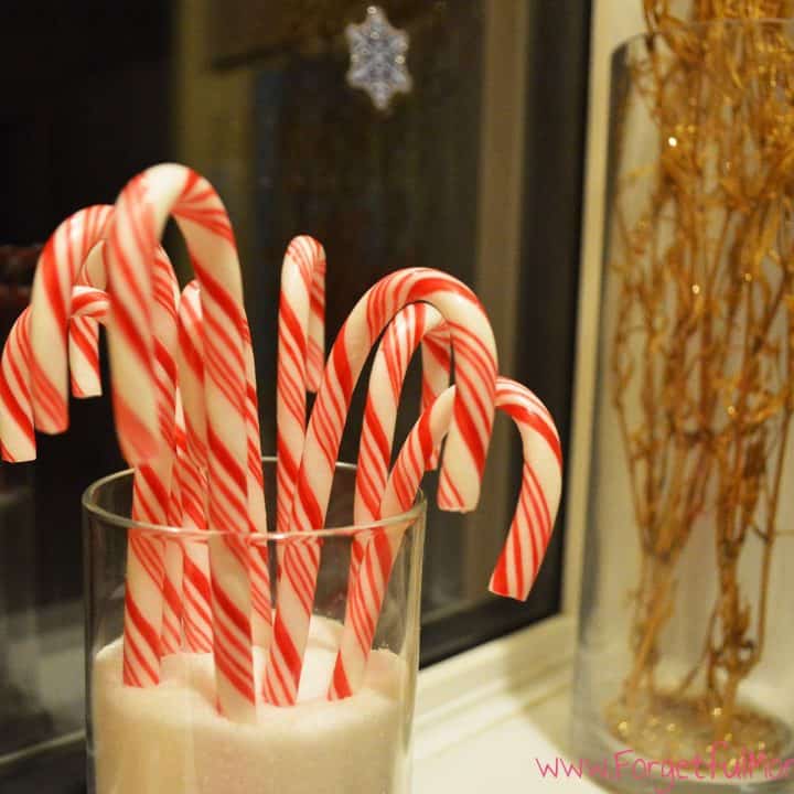 Growing Candy Canes