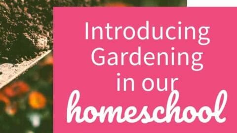 Introducing Gardening in our homeschool