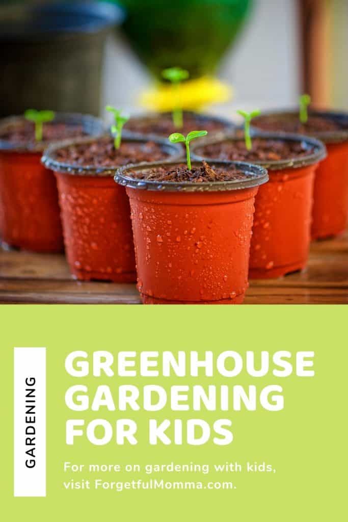 Mini Greenhouse Gardening with Kids