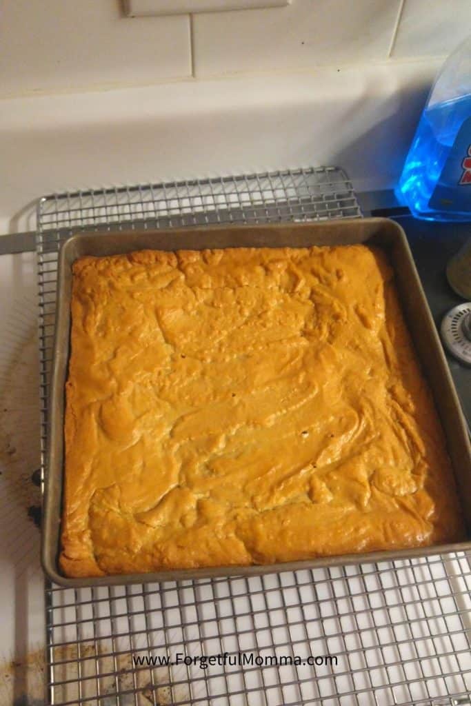 Vanilla Brownies - straight from the oven