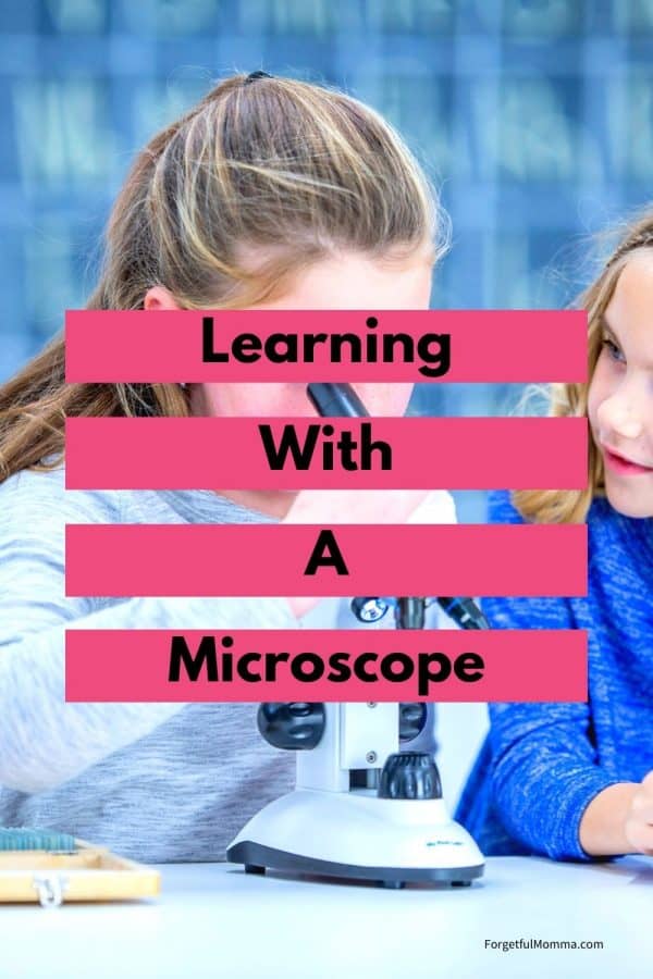 Learning with A Microscope in Your Homeschool - Forgetful Momma