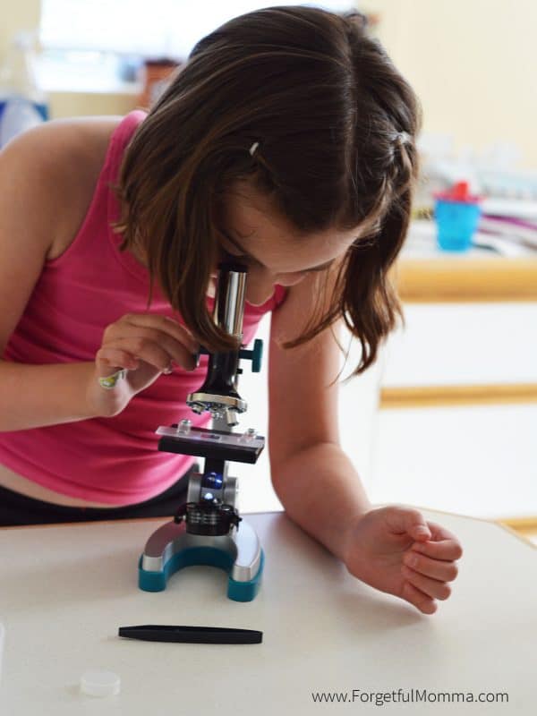 Learning with A Microscope in Your Homeschool - Forgetful Momma