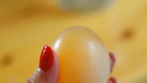 How to Make Eggs Bounce