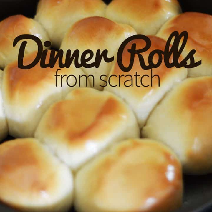 Dinner Rolls from Scratch