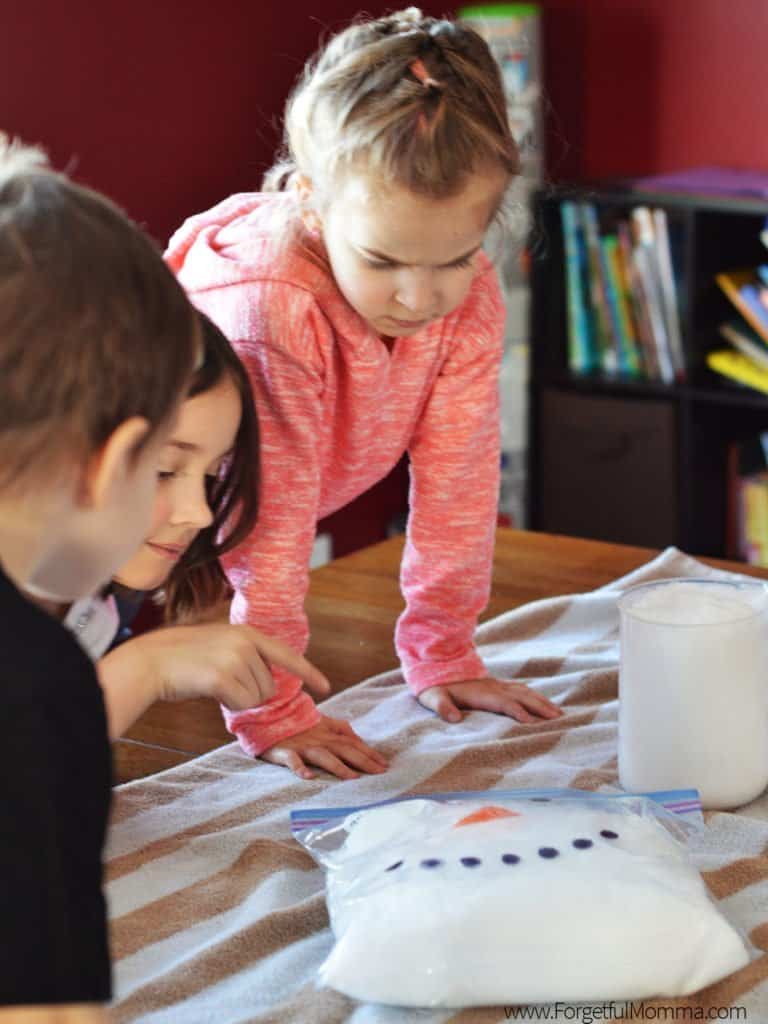 Snow Reaction in A Bag Science Experiment