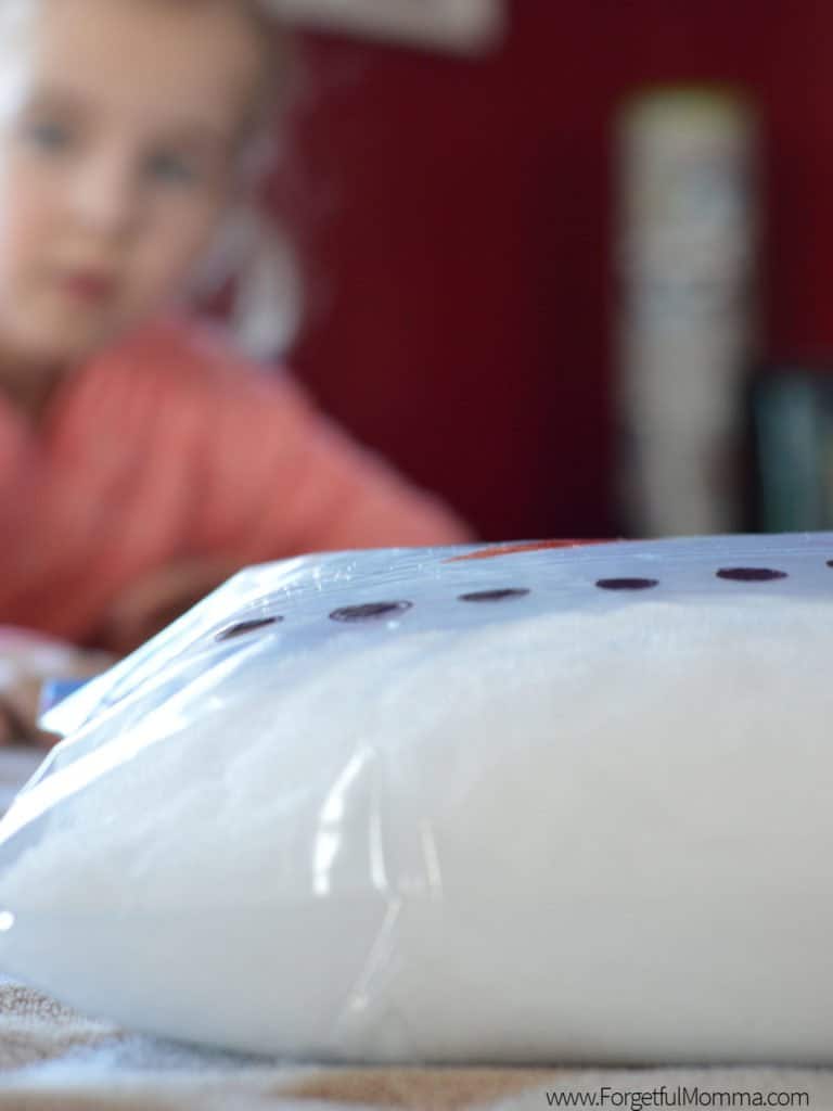 Snow Reaction in A Bag Science Experiment