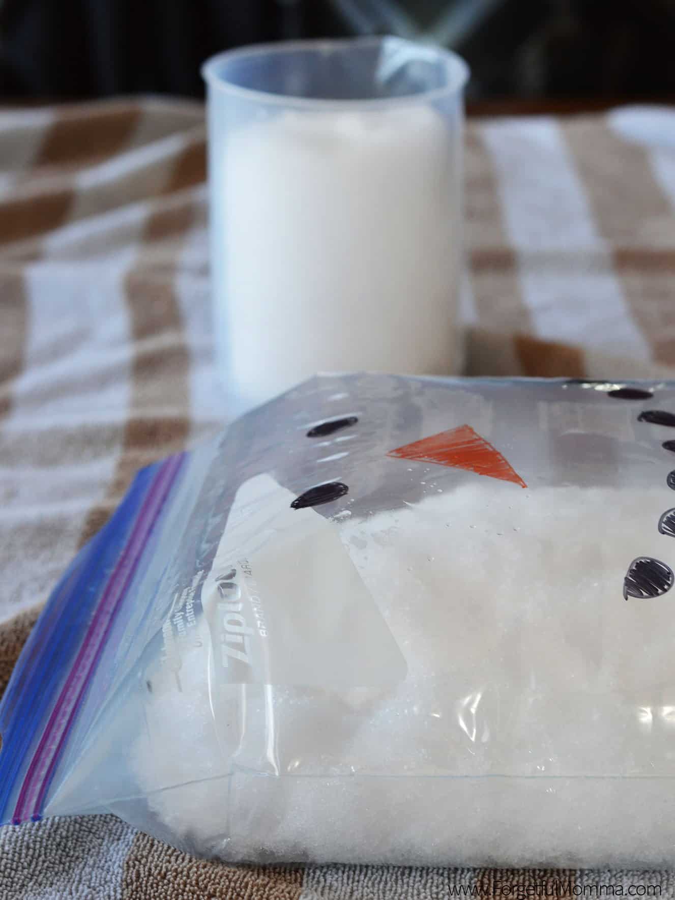 Snow Reaction in A Bag Science Experiment