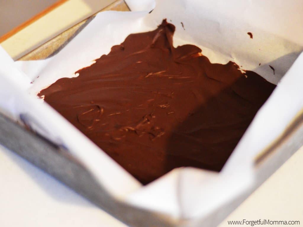 Chocolate Granola Squares Momma