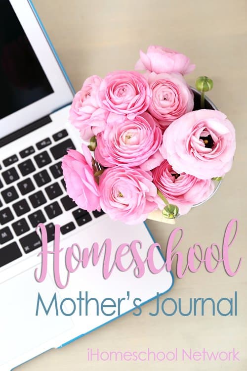 Homeschool Mothers Journal - What Our Homeschool Looked Like in January 2017