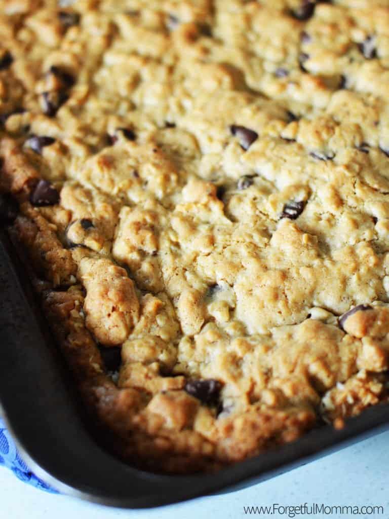 Chocolate Chip Coconut Bars Baked Golden Brown