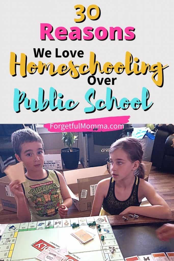 30 Reasons We Love Homeschooling Over Public School