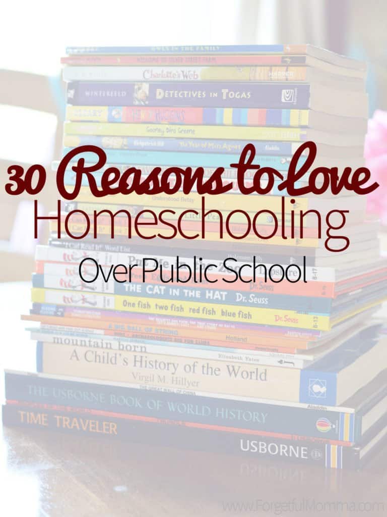 30 Reasons to Love Homeschooling Over Public School