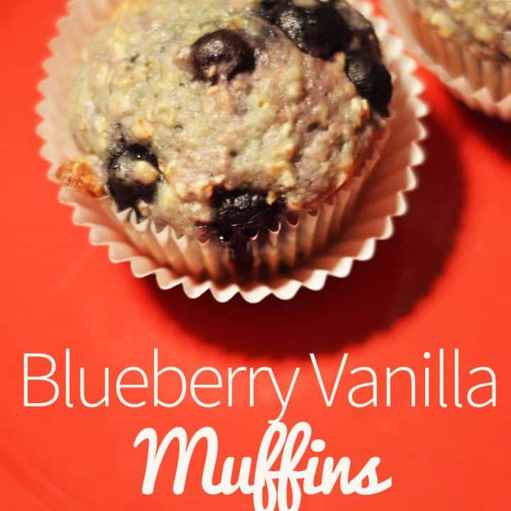 Blueberry Vanilla Muffin