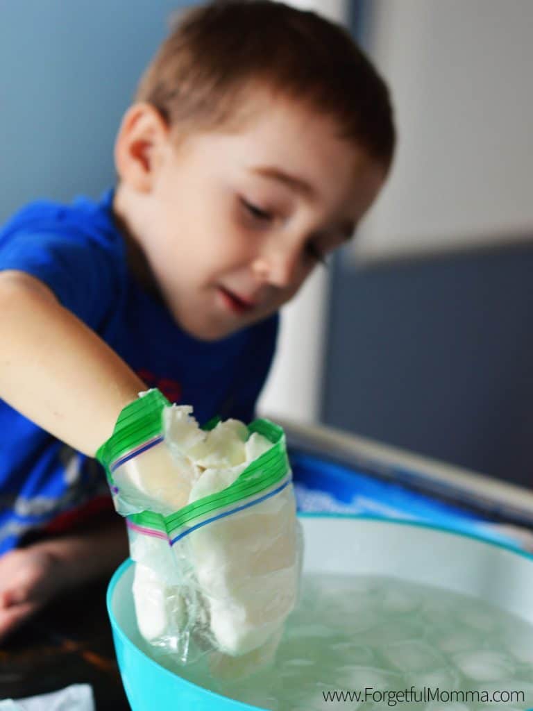 Arctic Animals - Science Experiment