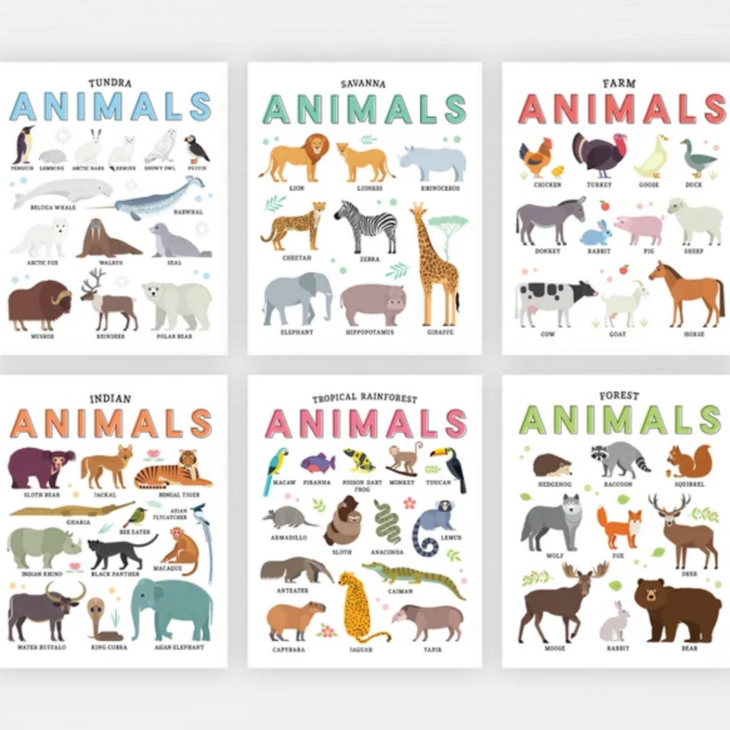 animal learning posters