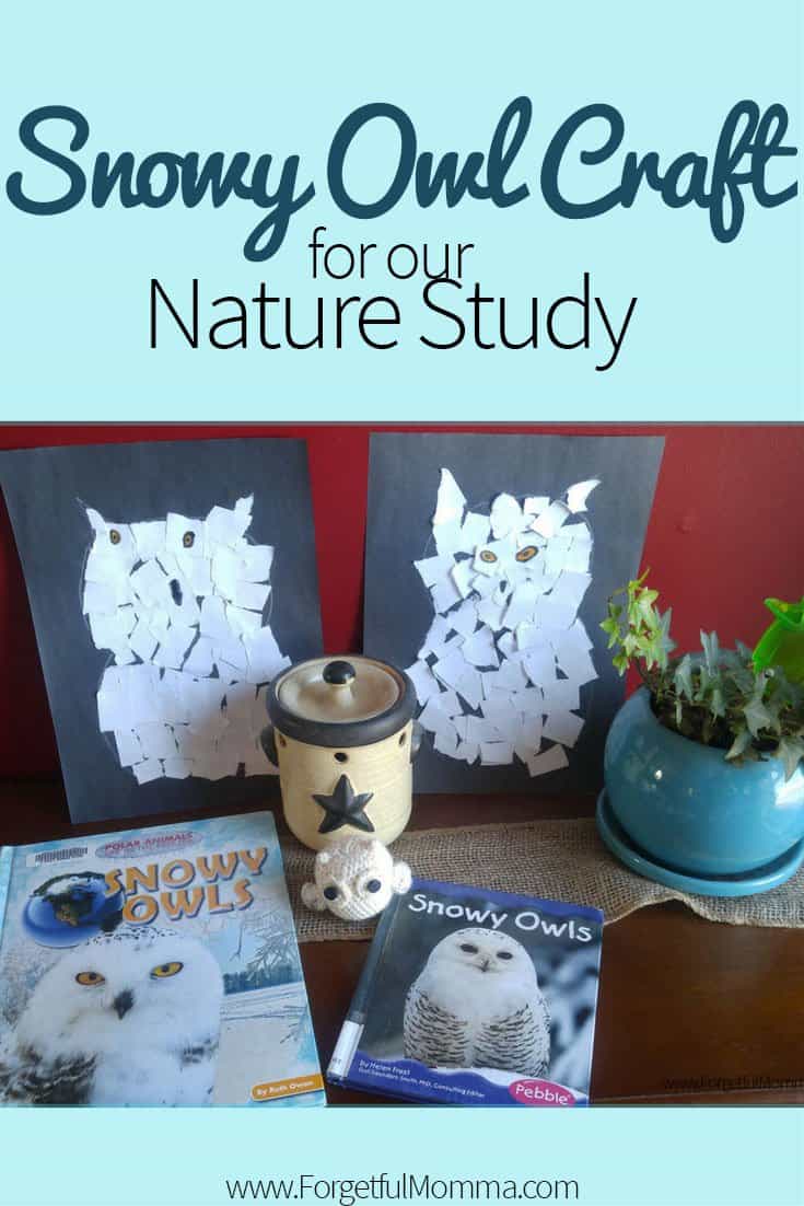 Snowy Owl Craft- Winter Nature Study