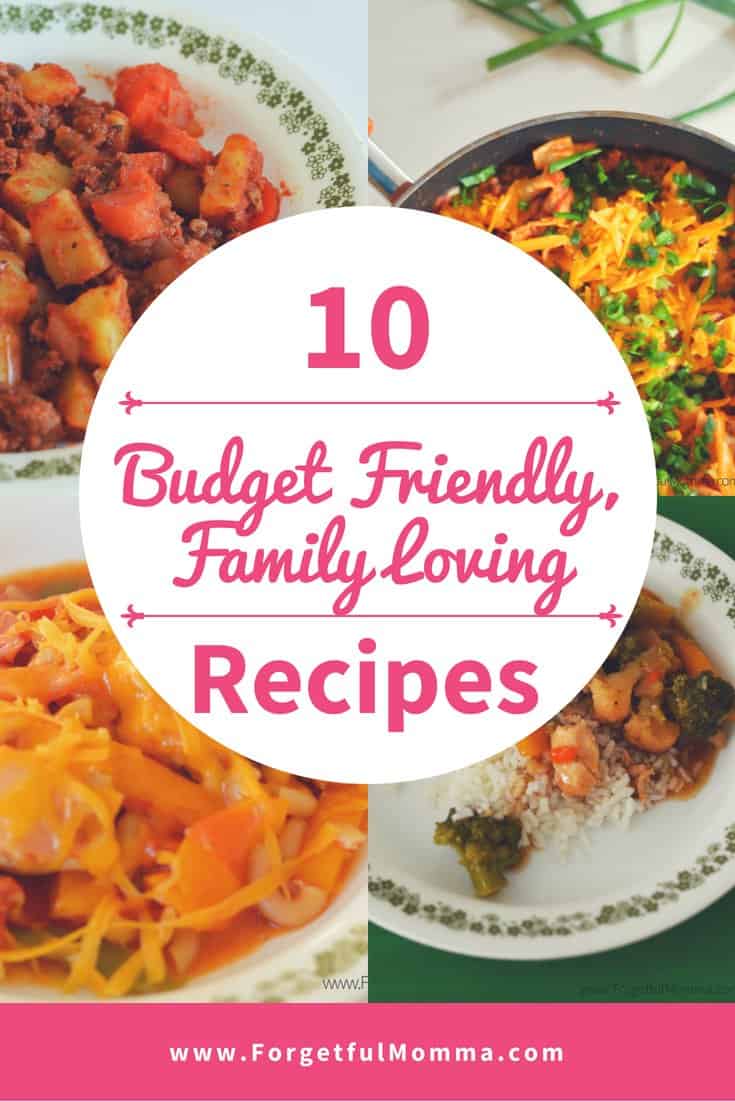 10 Budget Friendly, Family Loving Recipes