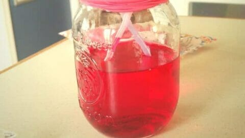 HEART PUMPING JAR SCIENCE EXPERIMENT