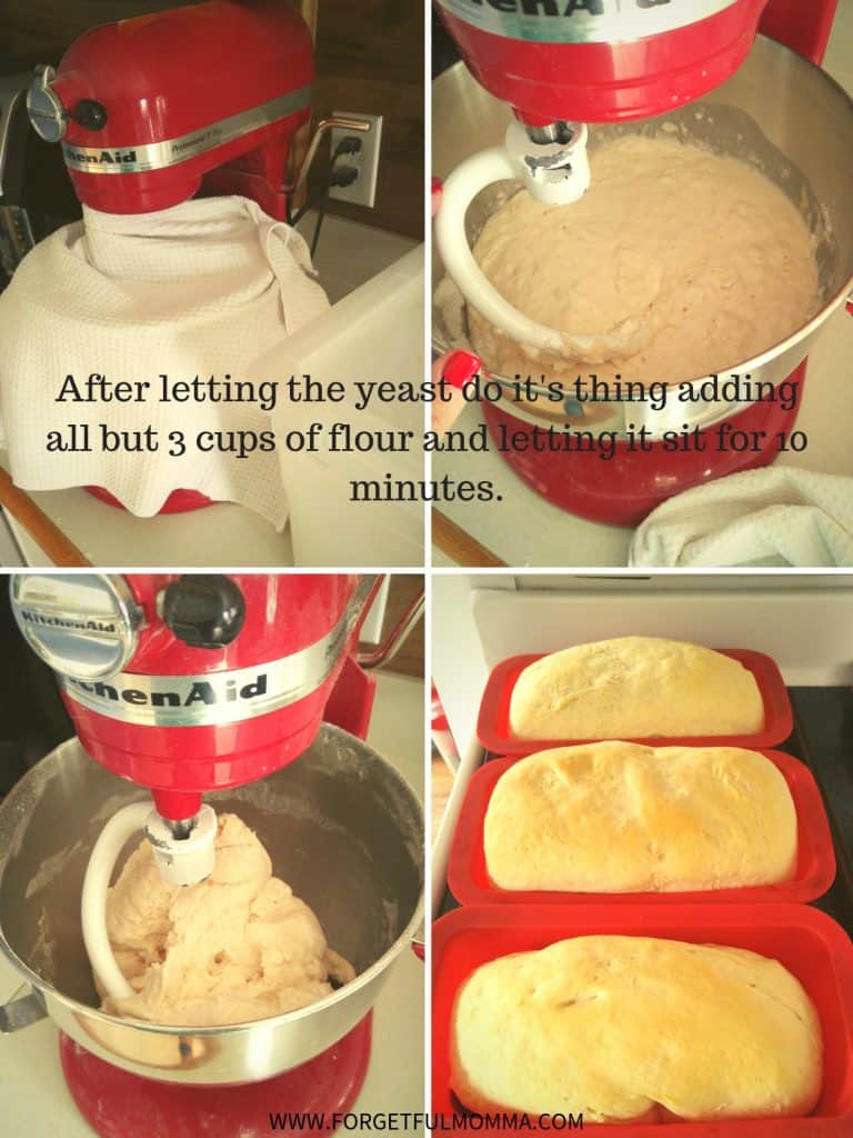 Easy Homemade Sandwich Bread