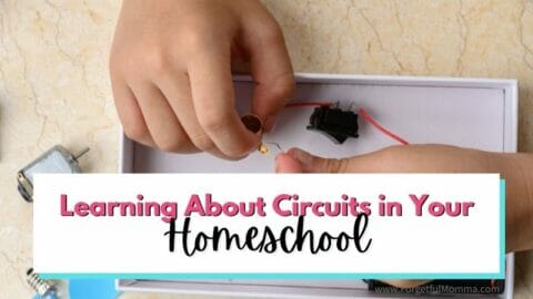 child's hands use circuits in white tray with text overlay