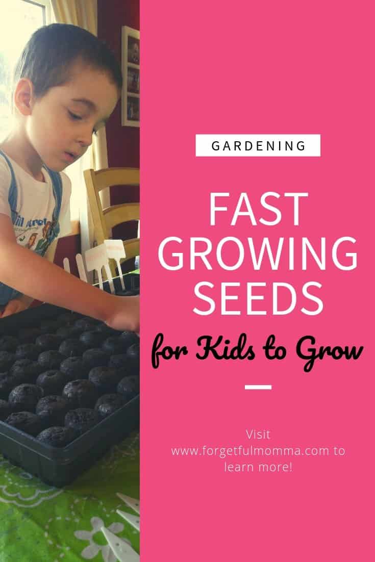 Fast Growing Seeds for Kids to Grow