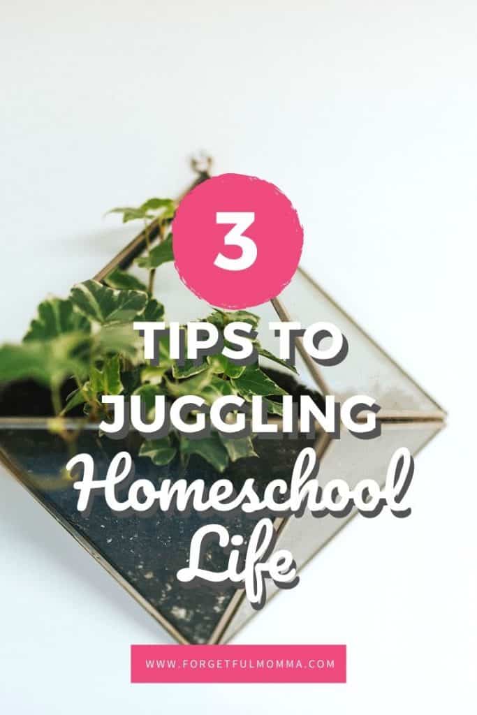 Tips to Juggling it all as A Homeschool Mom