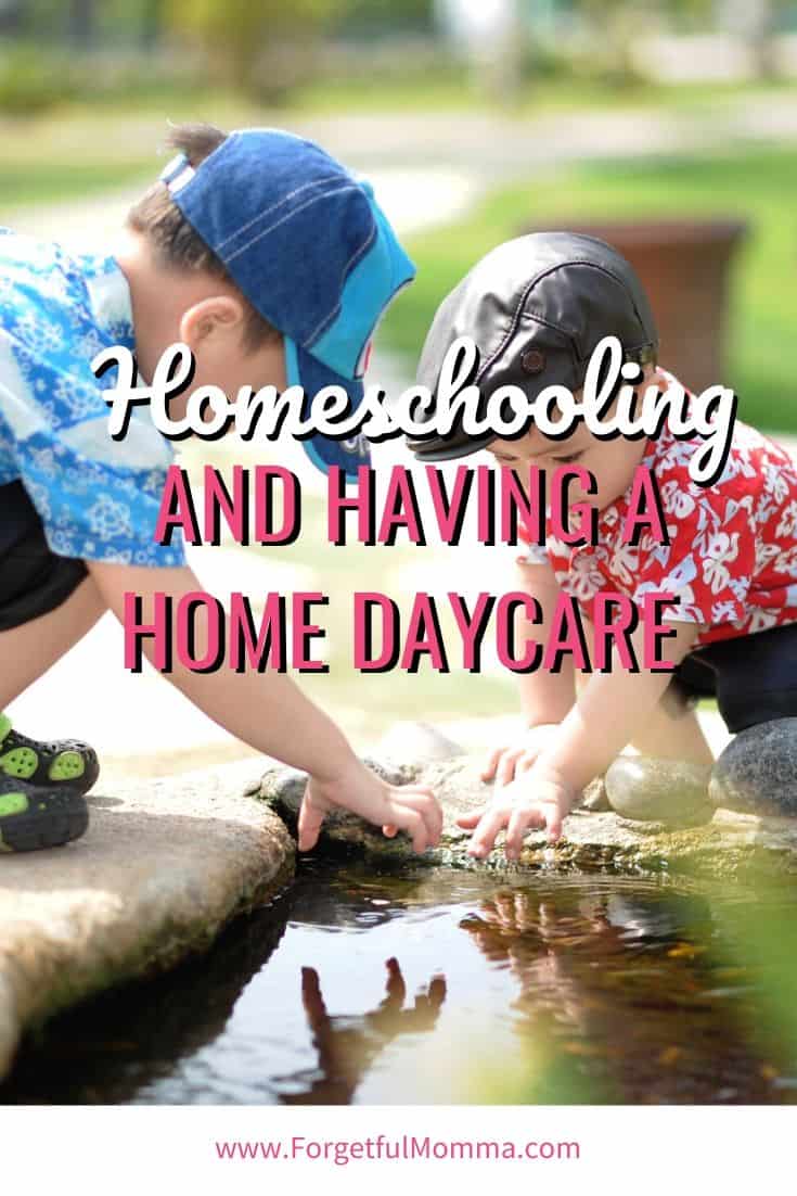 Homeschooling and Having a Home Daycare