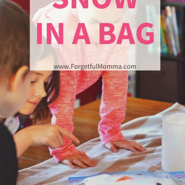 Snow Reaction in A Bag Science Experiment