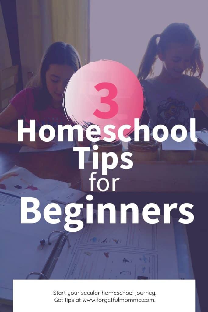 3 Homeschool Tips for Beginners