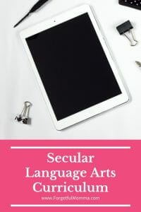 Grammar Galaxy - Secular Language Arts - Forgetful Momma