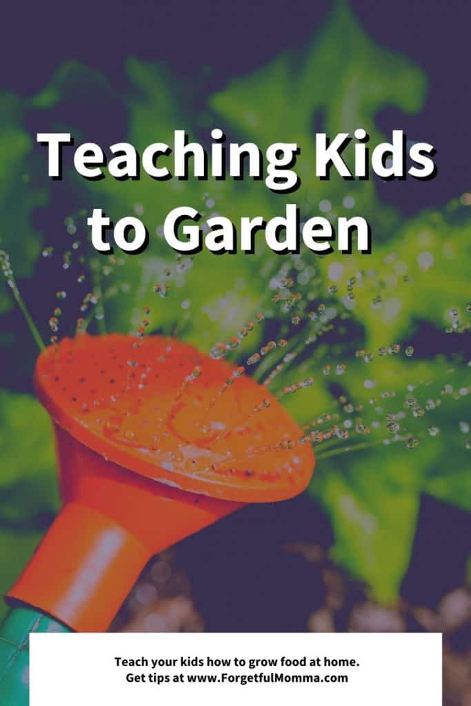 Teaching Kids to Garden in Our Homeschool