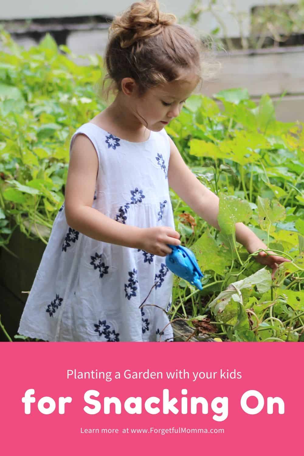 Growing a Snack Garden and Teaching Nutrition to Kids