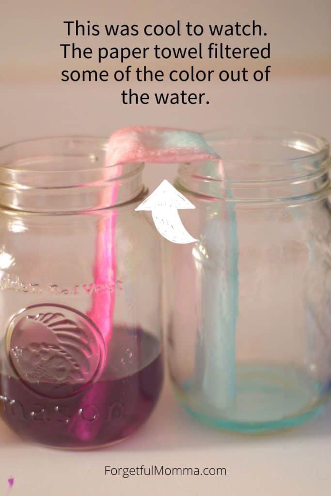 Walking water science experiment - color being filtered