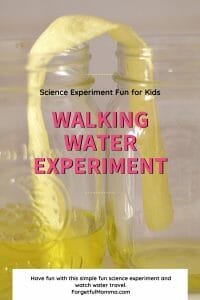 Colorful Walking Water Science Experiment - Forgetful Momma