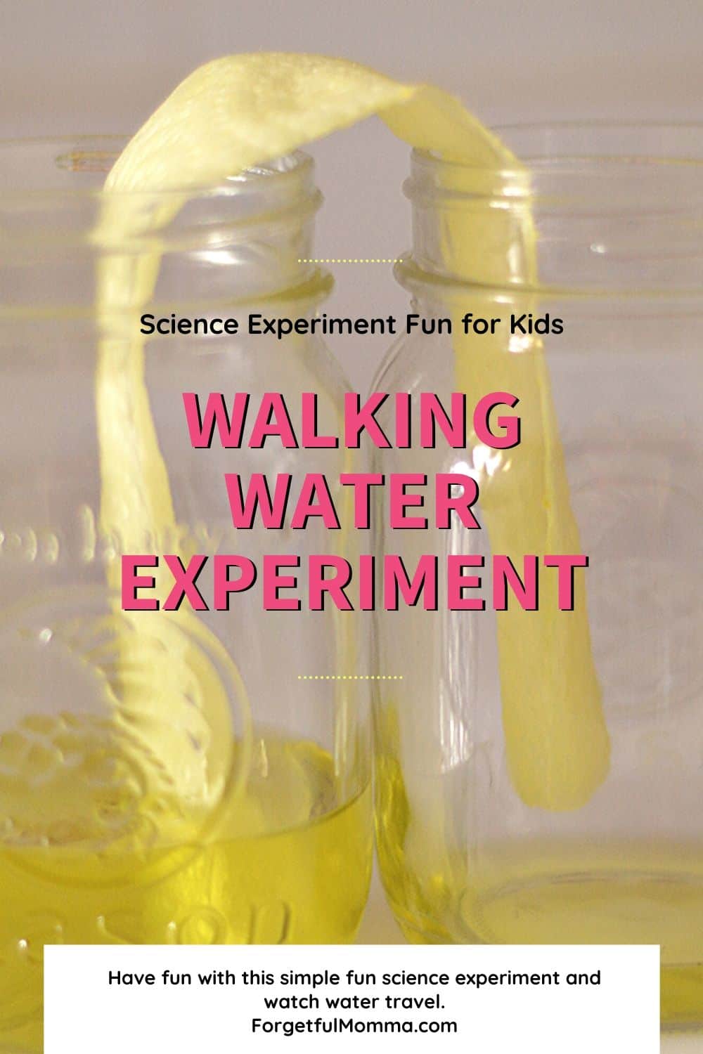 Walking water Science Experiment