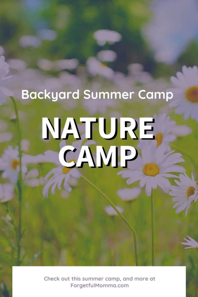 Backyard Summer Camp_ Nature Camp - daisies 