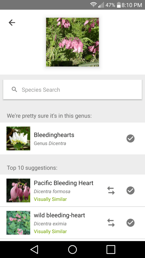 Backyard Summer Camp: Animals - screenshot of phone