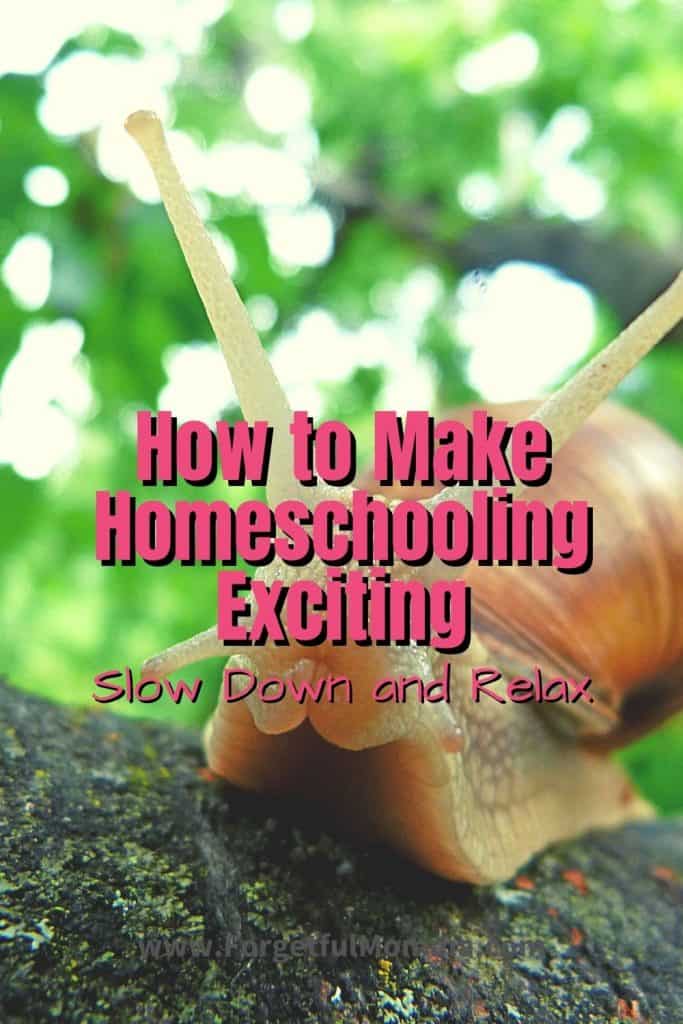 How to Make Homeschooling Exciting